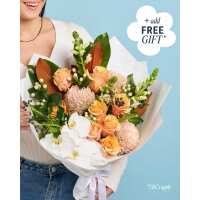 Read LVLY Reviews